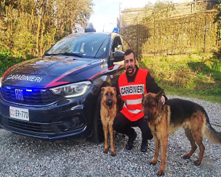 Smarriti in strada, pastori tedeschi soccorsi da carabinieri